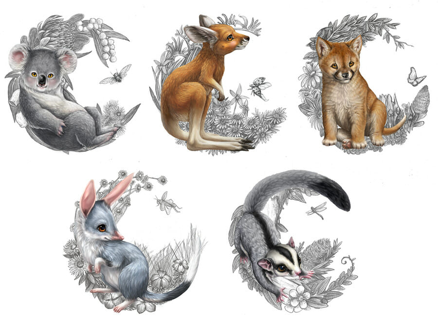 australian bush animals