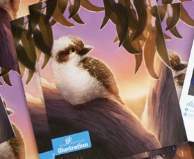 australian bush baby