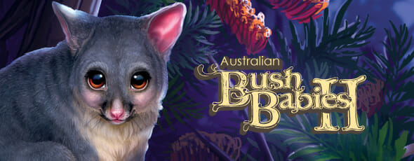 australian bush baby
